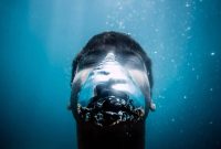 The warning signs of depression should never be ignored. Anyone with these symptoms should speak with their primary care provider or a behavior health specialist. Loved ones or friends who exhibit these symptoms should be encouraged to do the same.